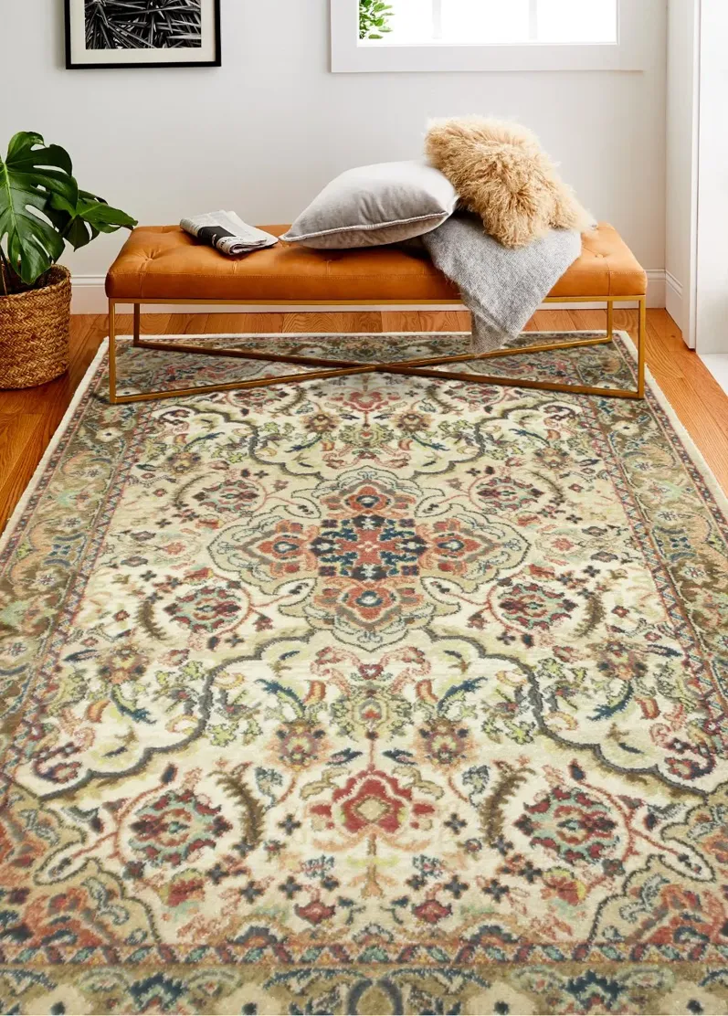 4 x 6 Small Traditional Bodhi Beige Area Rug - Buckingham