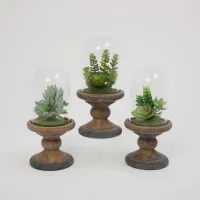 Assorted Faux Succulent Arrangement with Glass Dome