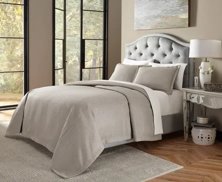 Port Orleans Soft Gray Queen 3 Piece Bedding Collection