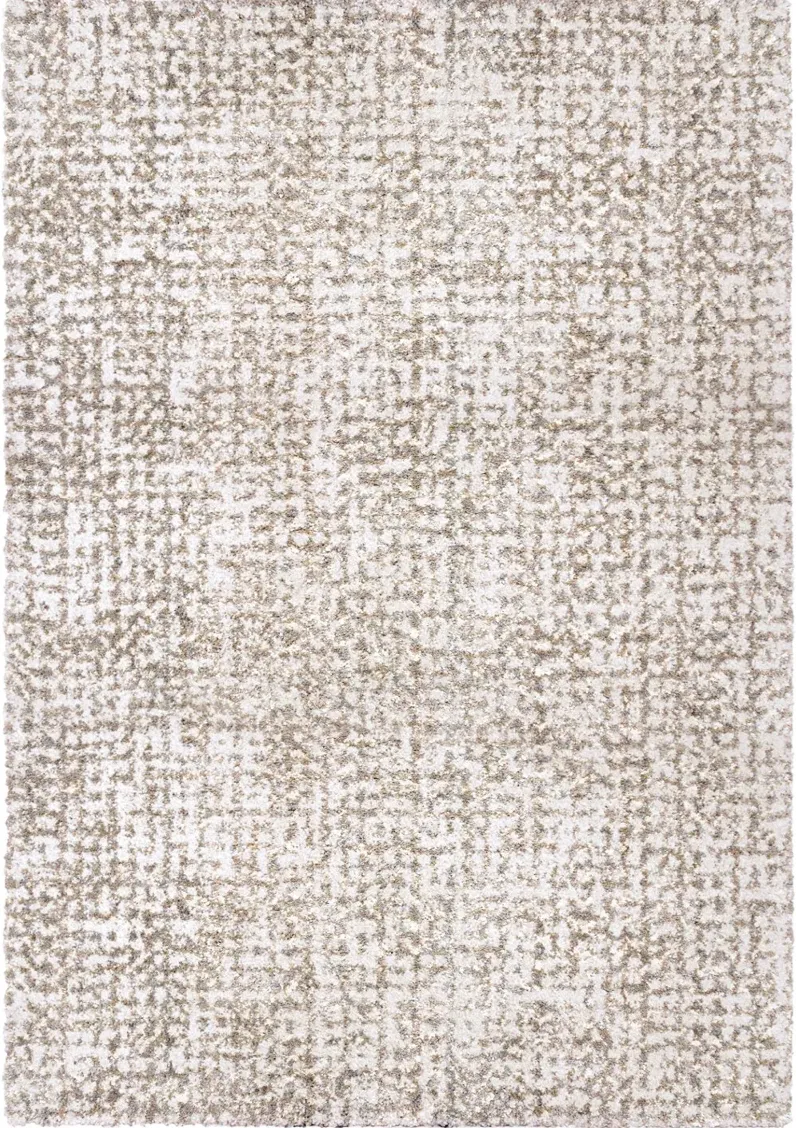 Cottontail 5 x 8 Ditto White Area Rug