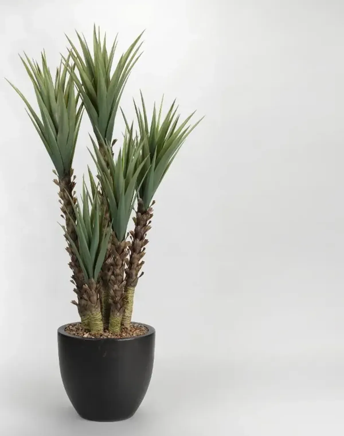 Faux Green Yucca Plant Arrangement in Black Planter