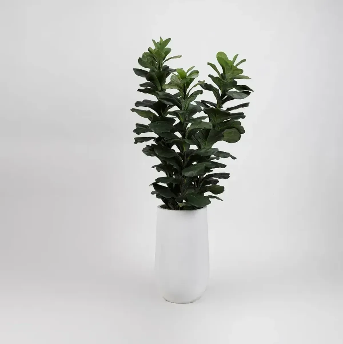 Faux Green Fiddle Leaf Fig Tree Arrangement in White Planter