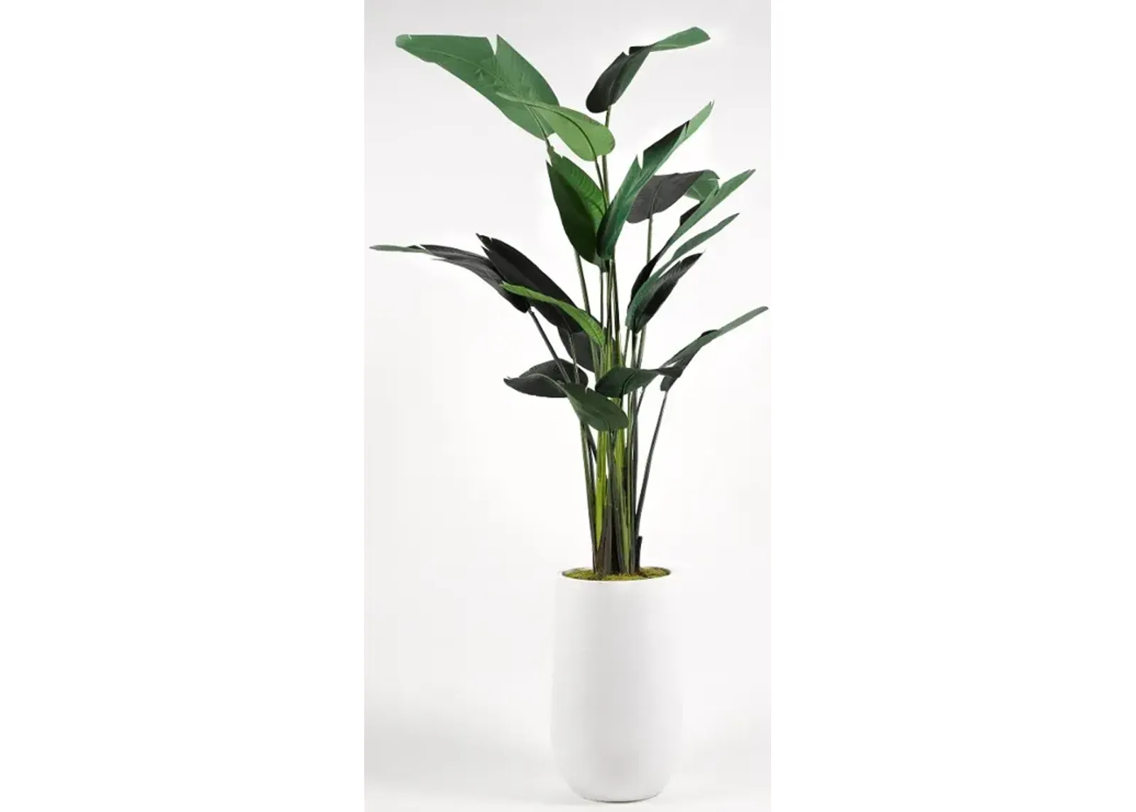 Faux Green Traveler Palm Tree Arrangement in White Planter