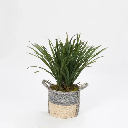 Faux Areca Green Grass Arrangement in Gray Basket
