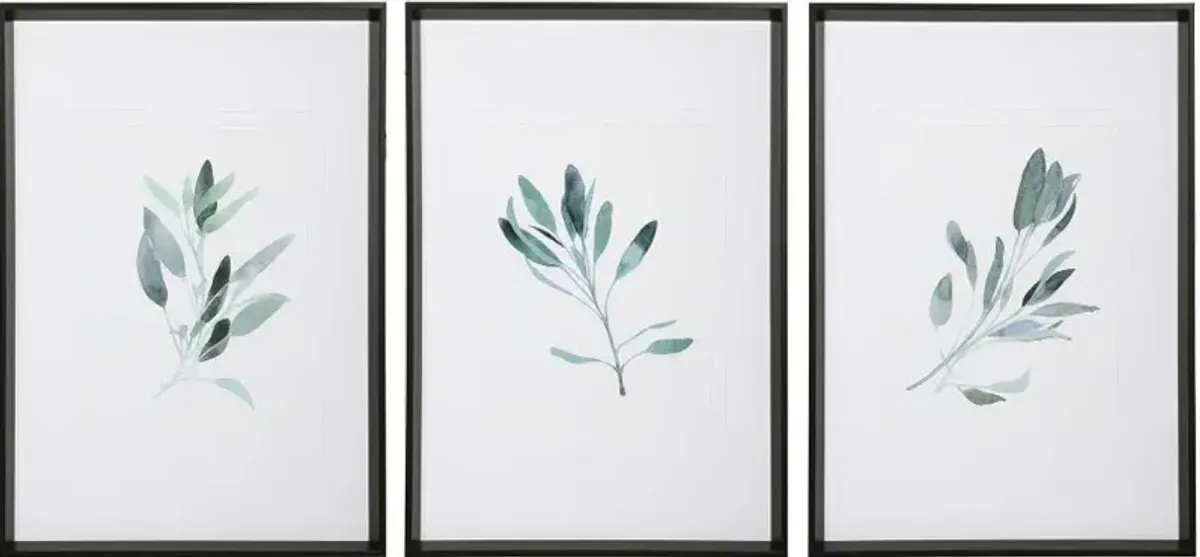 Assorted Simple Sage Framed Print with Matte Black Frame