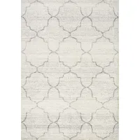5 x 8 Medium Ogee White and Gray Area Rug - Focus