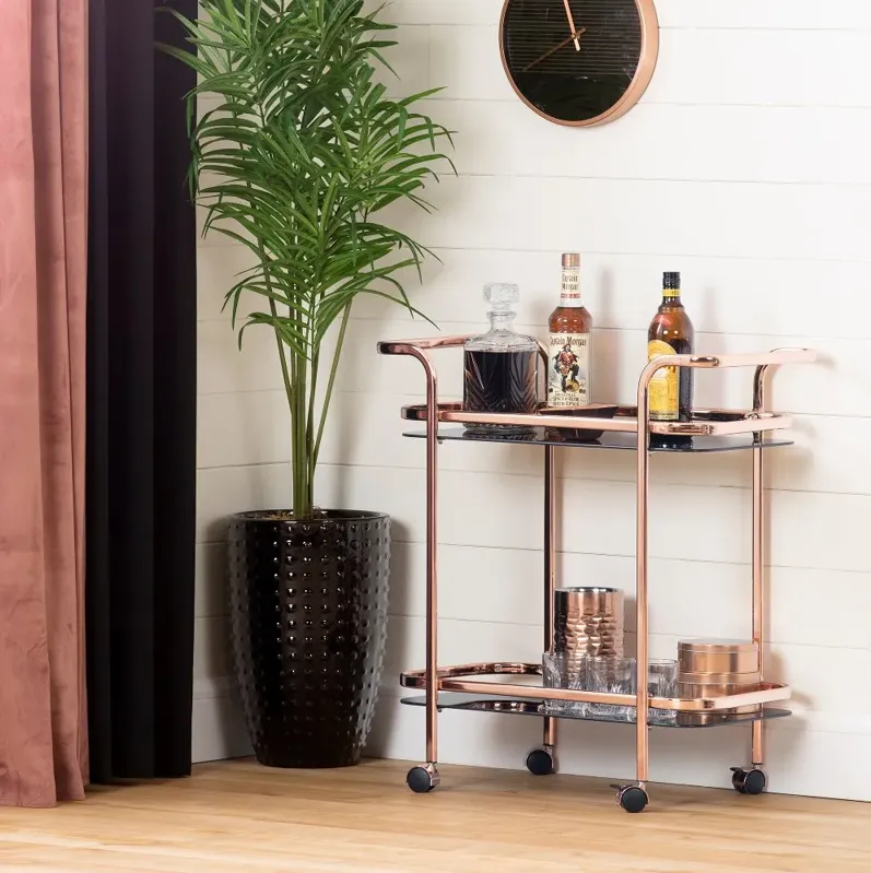 Maliza Rose Gold Bar Cart - South Shore