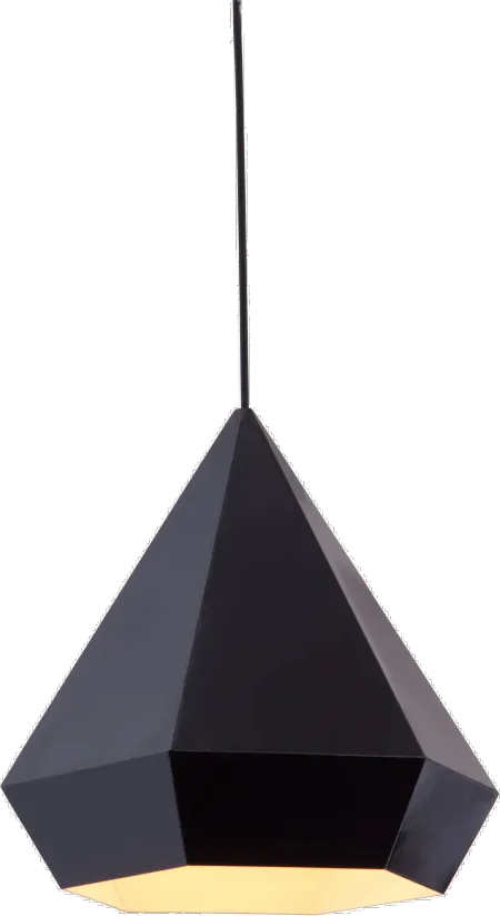 Black Geometric Ceiling Lamp - Forecast