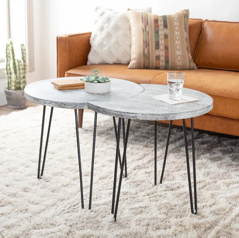 Modern Eclectic White Wash Moon Coffee Table Set - Selene