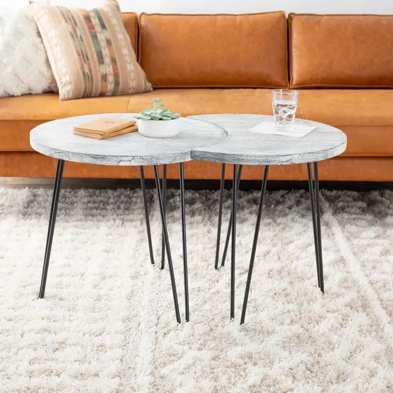 Modern Eclectic White Wash Moon Coffee Table Set - Selene