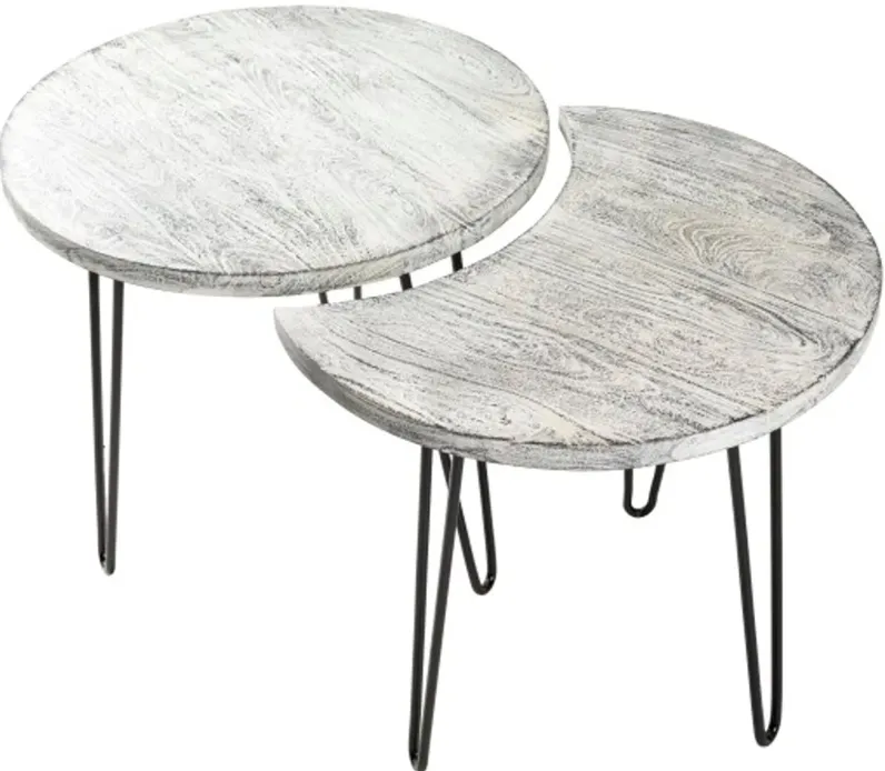 Modern Eclectic White Wash Moon Coffee Table Set - Selene