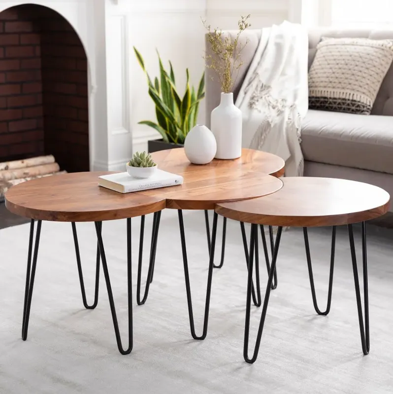 Modern Eclectic Brown Wooden Moon Coffee Table Set - Selene