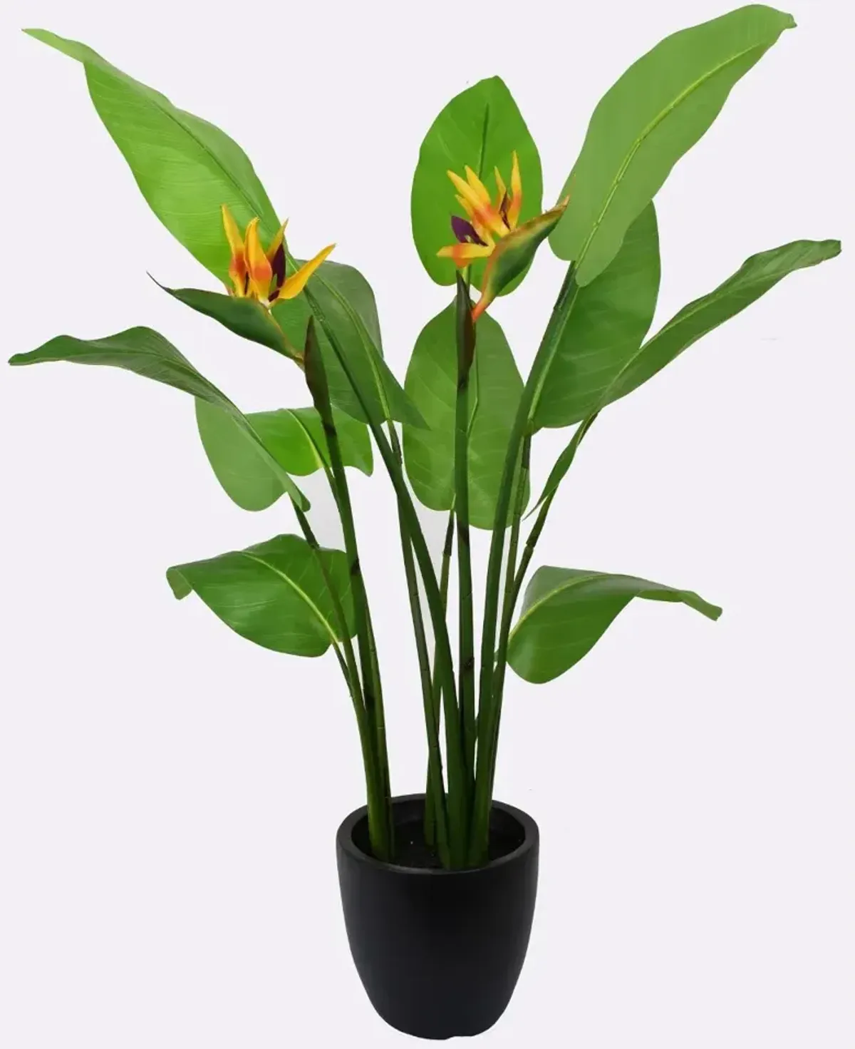 Yellow and Orange Bird of Paradise Artificial Green Arrangement Planter