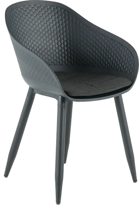 Testa Dark Gray Dining Room Chair