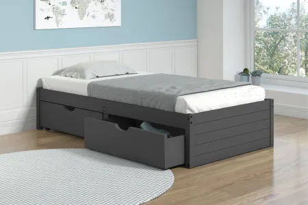 Bristol Dark Gray Twin Bed with Storage Drawers