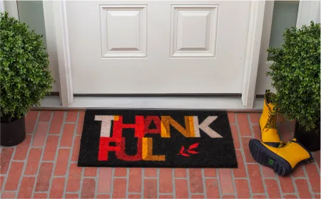Thankful Transition Doormat