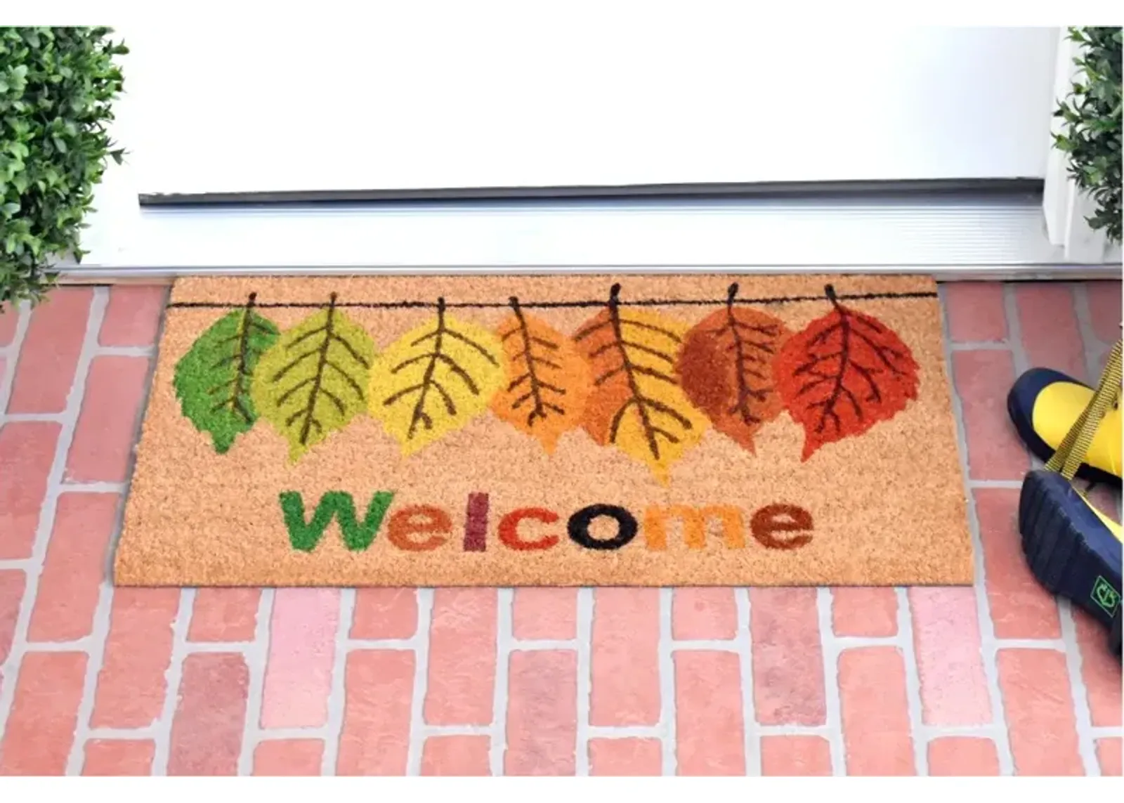 Fall Colors Doormat