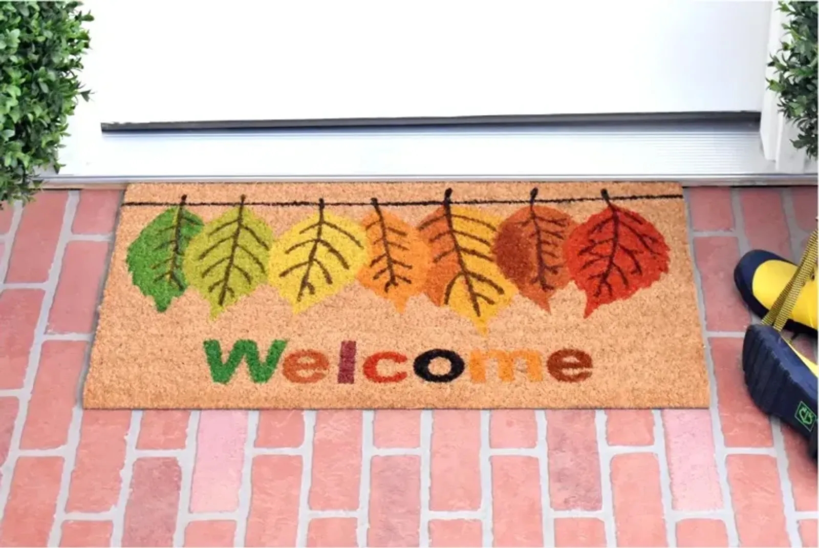 Fall Colors Doormat