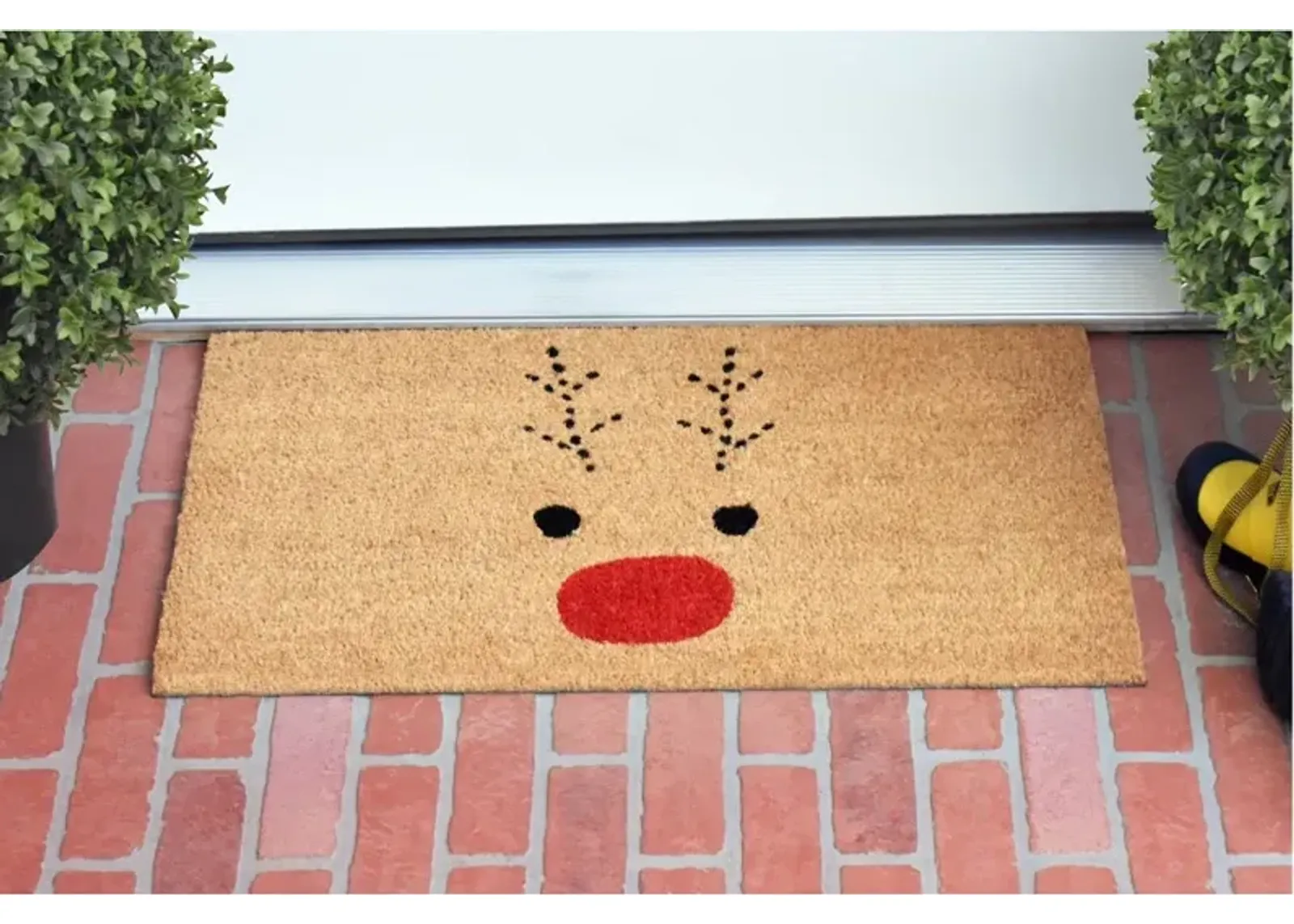 Rudolph Doormat