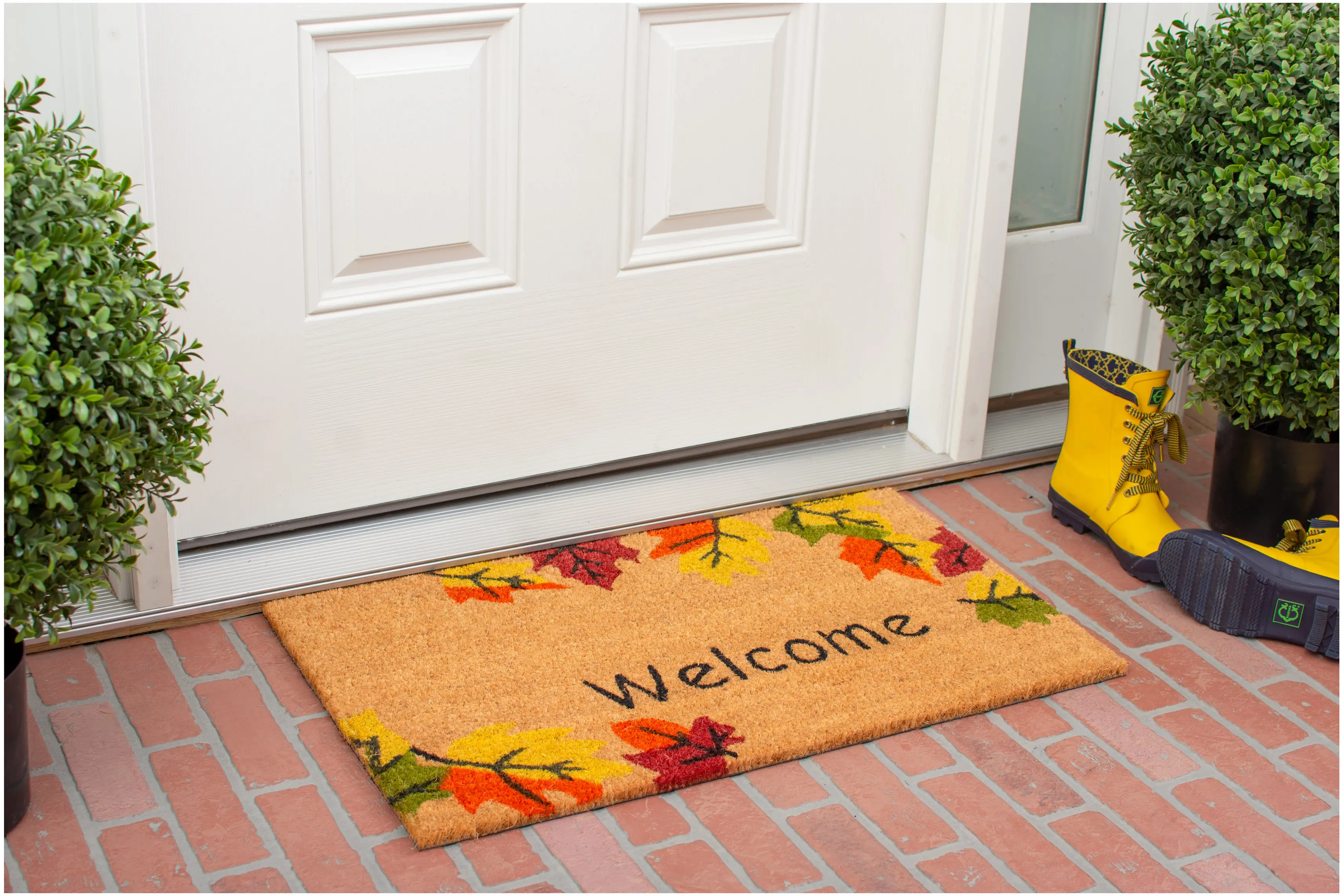 Autumn Breeze Doormat
