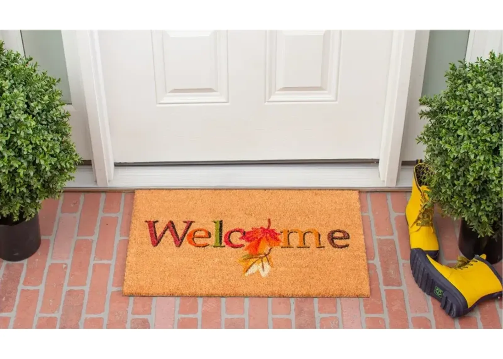 Fall Beauty Doormat