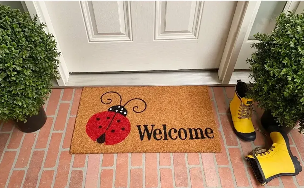 Ladybug Welcome Doormat