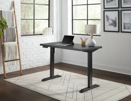 Martin Black Adjustable Desk