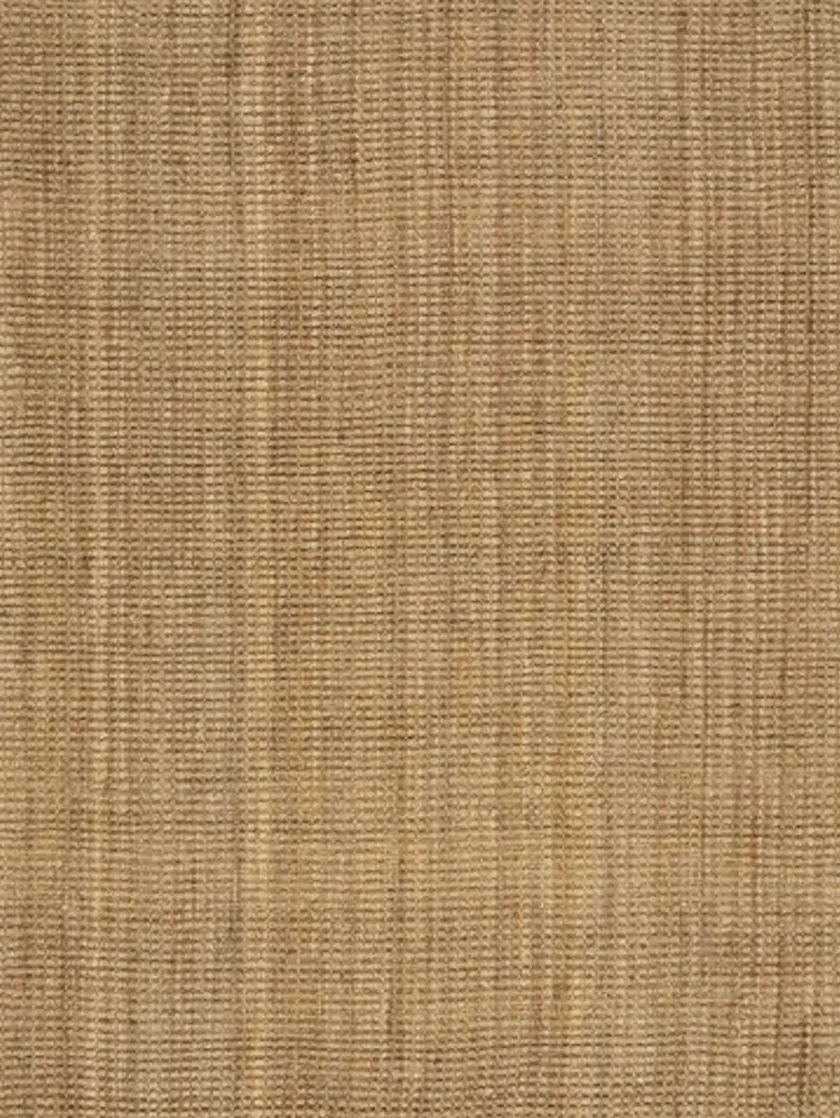 Naturals 5 x 8 Beige Area Rug