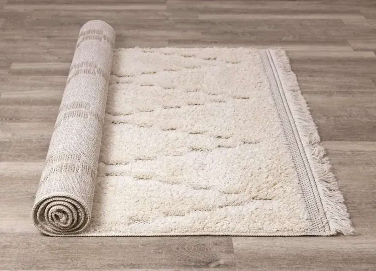 Novato 5 x 8 Chic Cream Shag Rug