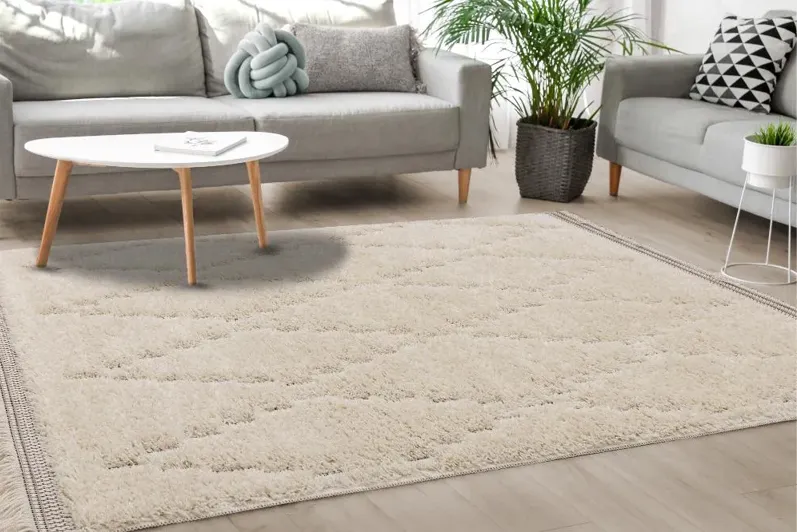 Novato 5 x 8 Chic Cream Shag Rug