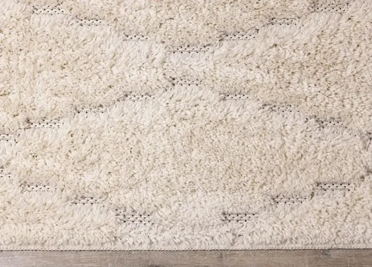 Novato 5 x 8 Chic Cream Shag Rug