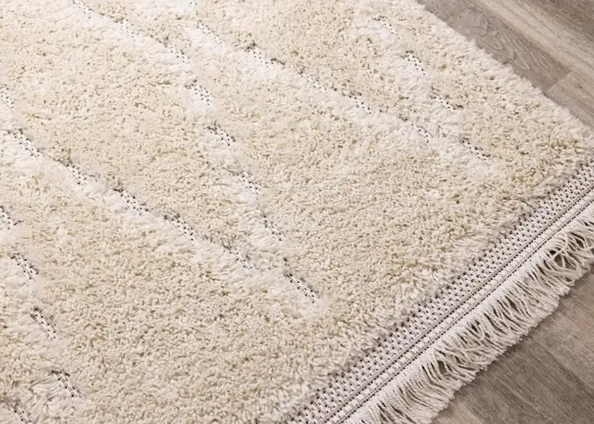 Novato 5 x 8 Chic Cream Shag Rug