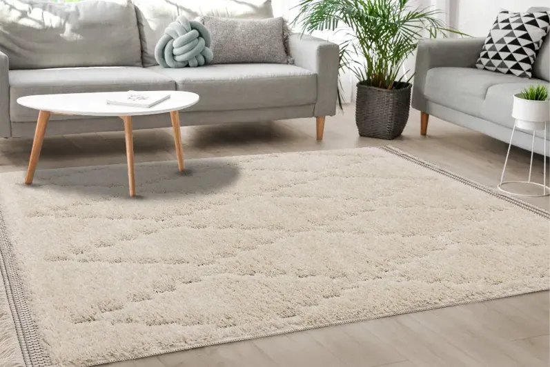 Novato 8 x 11 Chic Cream Shag Rug