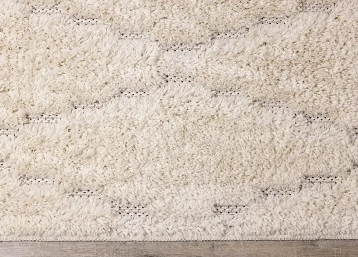 Novato 8 x 11 Chic Cream Shag Rug