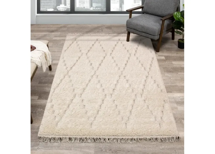 Novato 8 x 11 Chic Cream Shag Rug