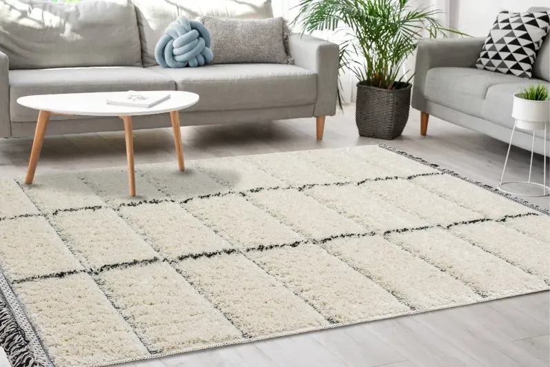 Novato 5 x 8 Contemporary Square Cream Shag Rug