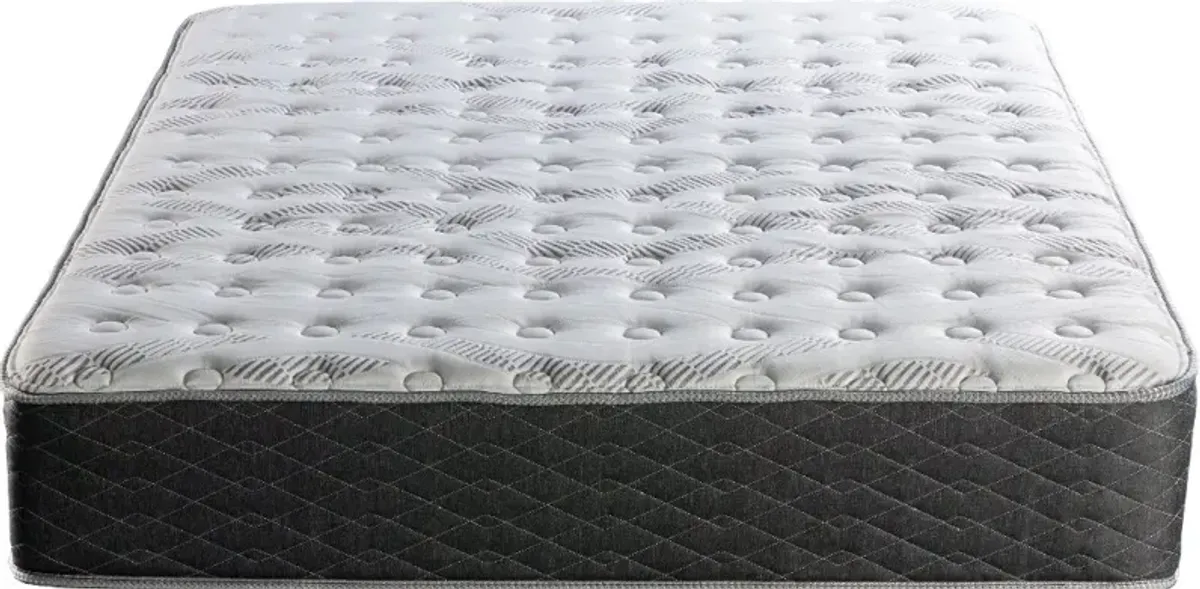 Sunset Lakeview Firm Twin Mattress