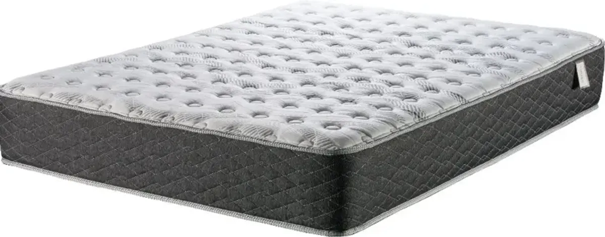 Sunset Lakeview Firm Twin Mattress