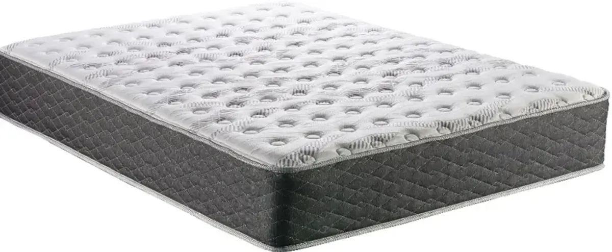 Sunset Lakeview Firm Twin Mattress