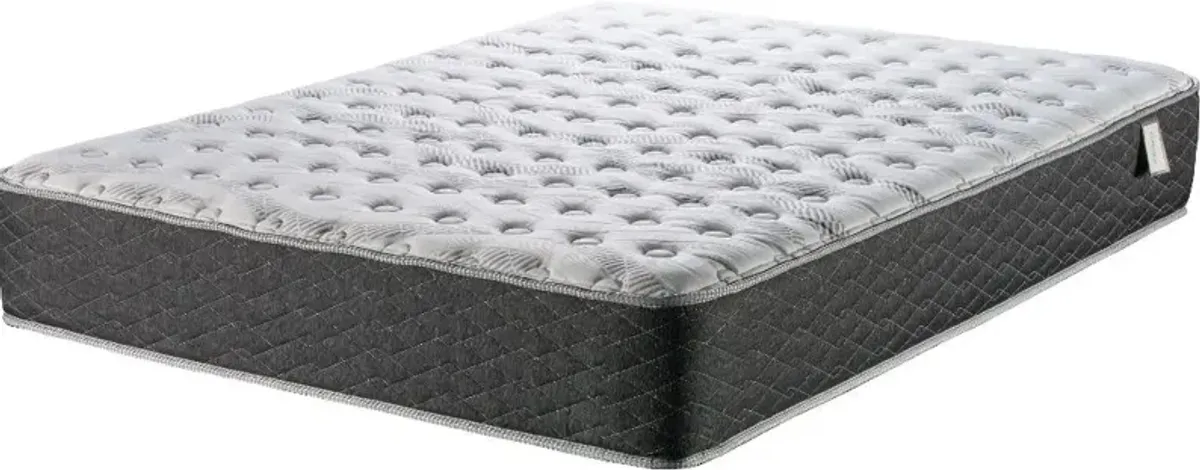 Sunset Lakeview Firm Queen Mattress