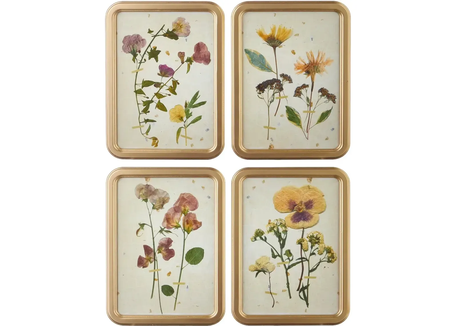 Assorted 18" Botanical Framed Print