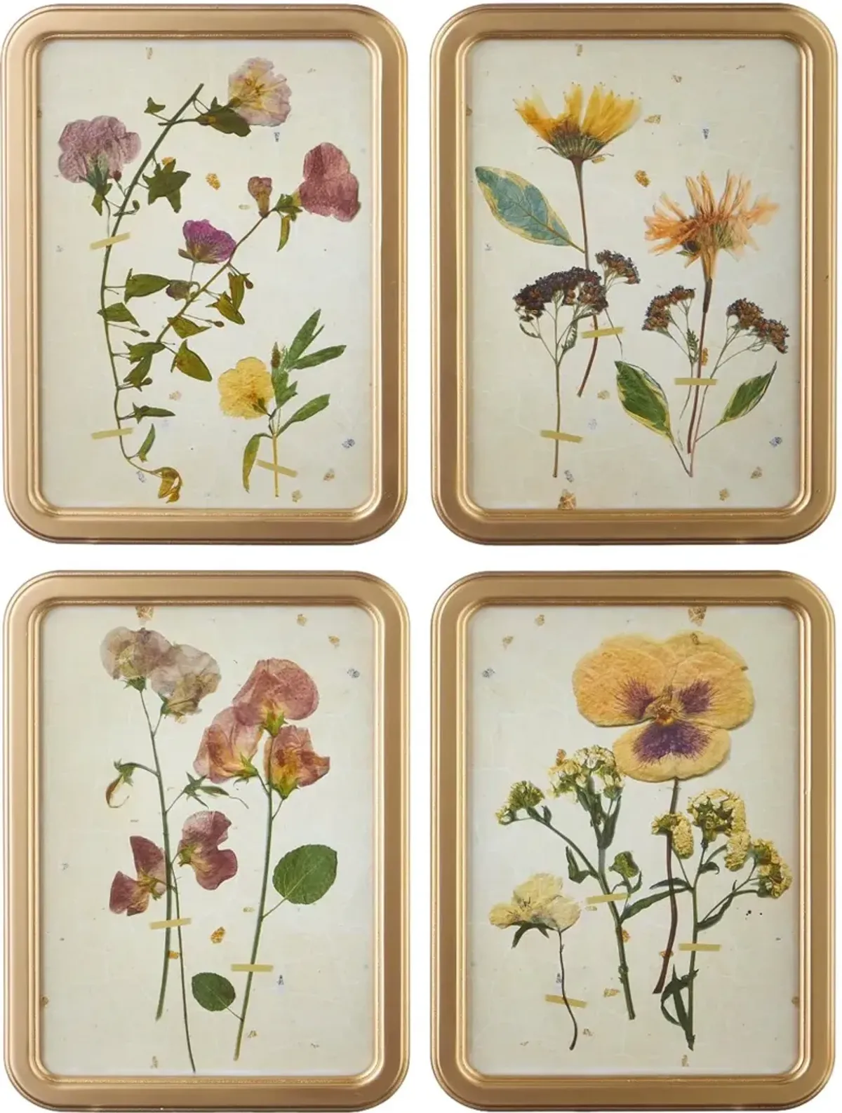 Assorted 18" Botanical Framed Print