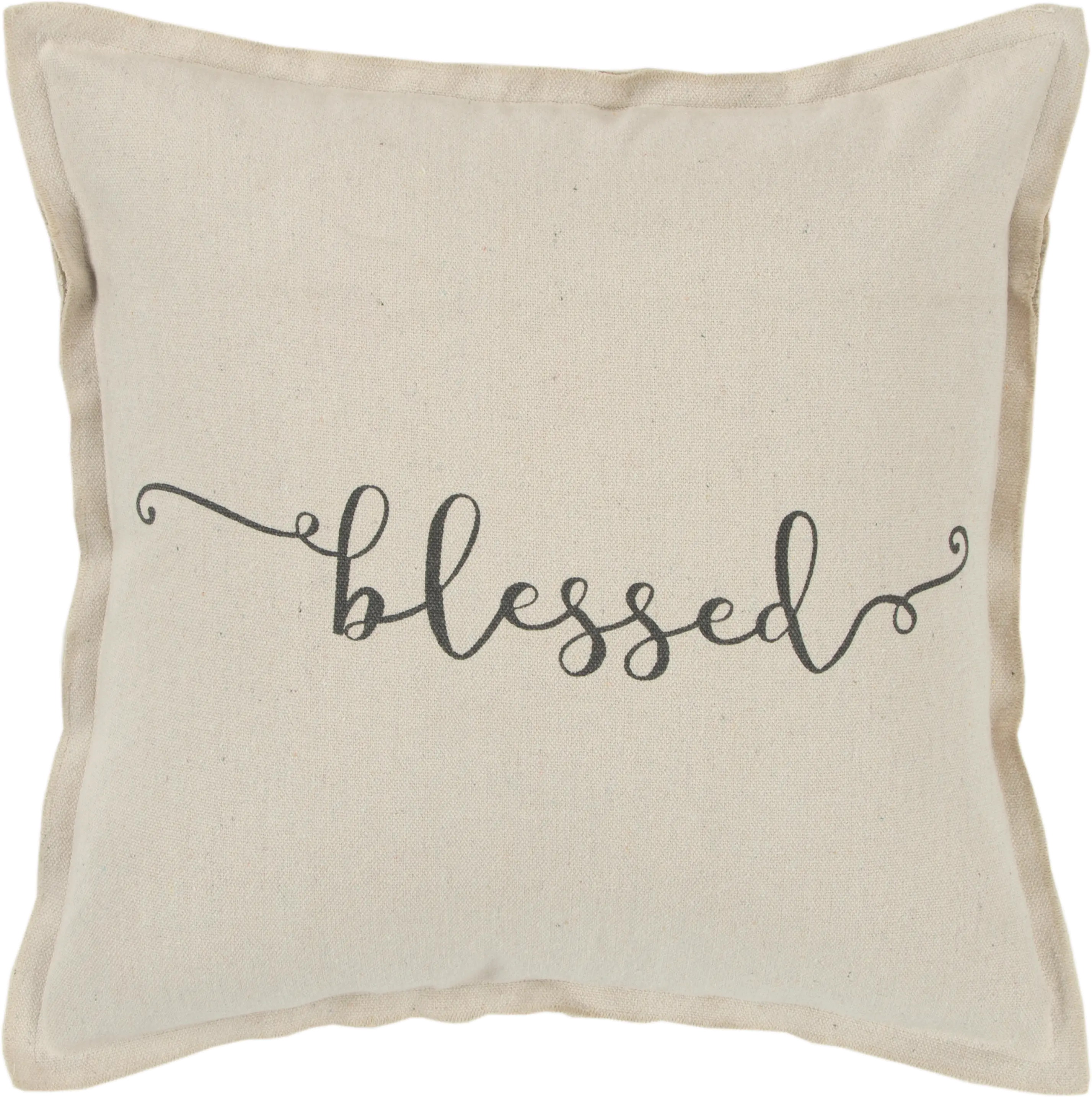 Script Neutral Accent Blessed Pillow