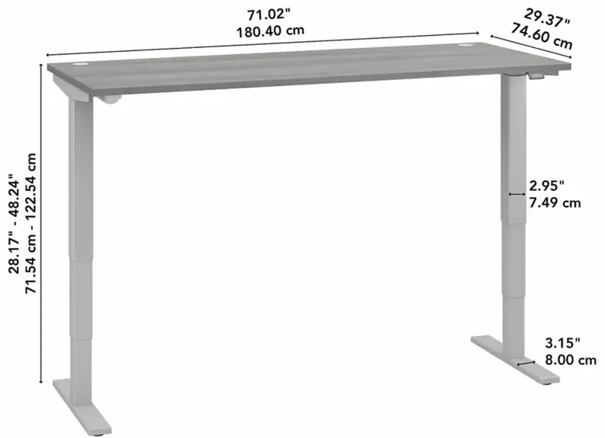 Platinum Gray 72" Adjustable Stand Desk