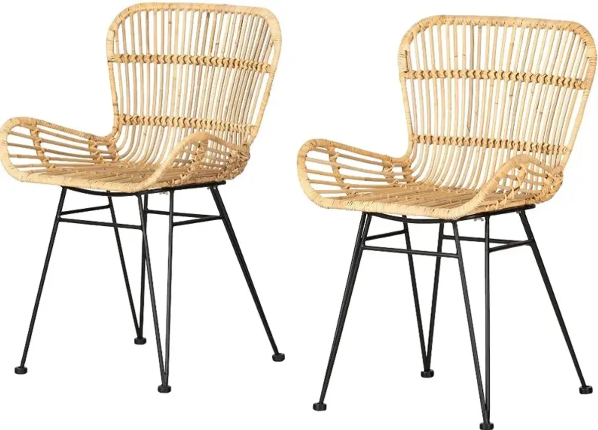 Balka Natural Rattan Dining Chair with Armrests, Set of 2 - South...