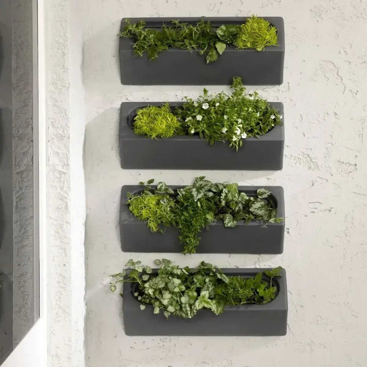 Dalya Dark Gray Wall Planters, Set of 4