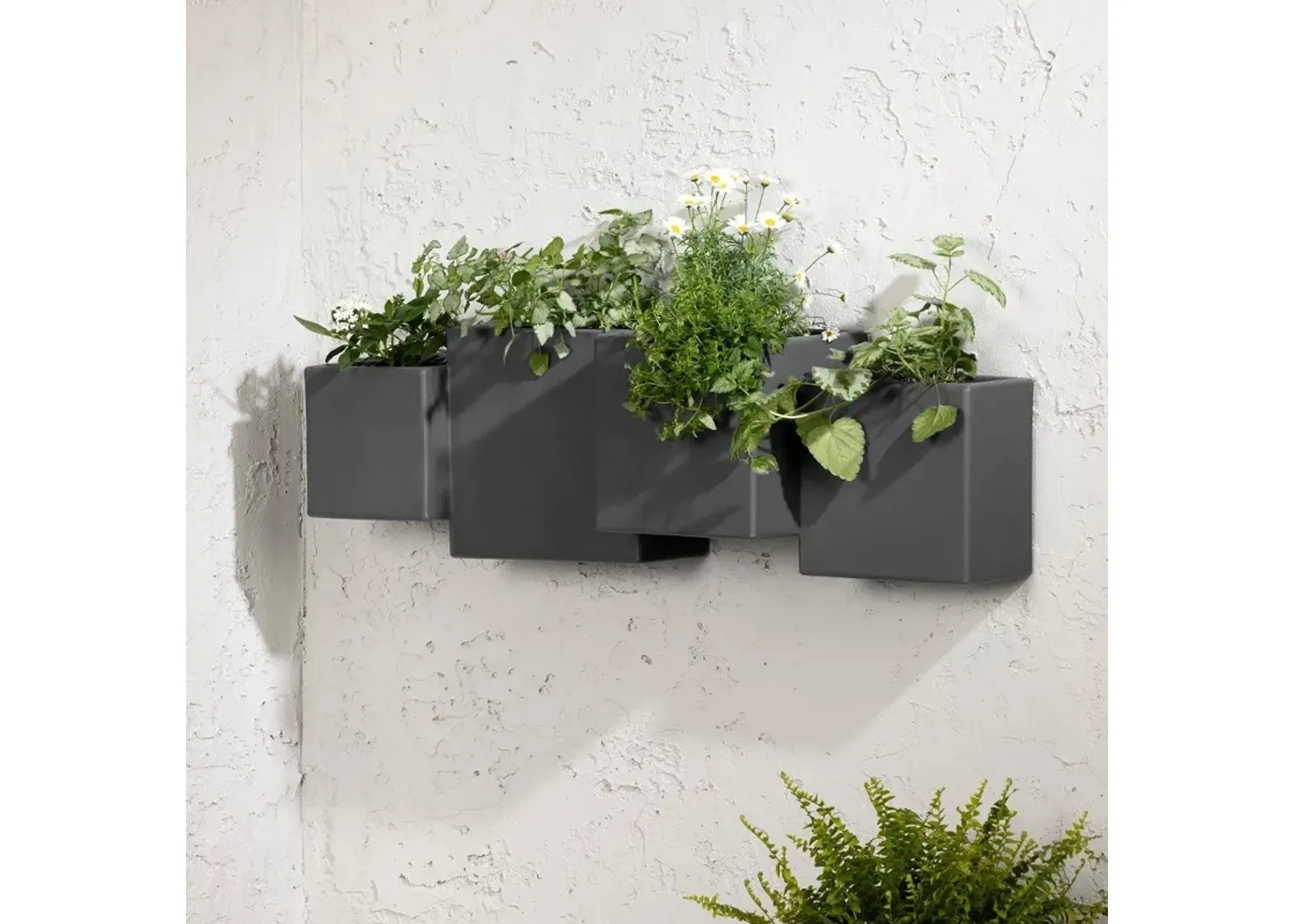 Dalya Dark Gray Wall Planters, Set of 2 - South Shore