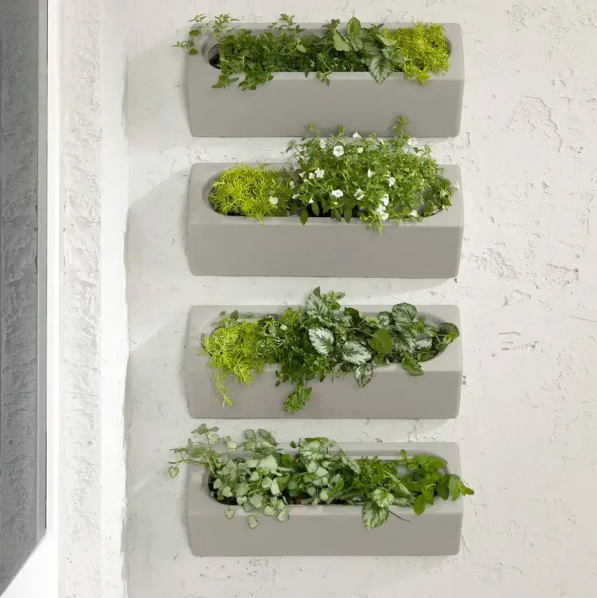 Dalya Greige Wall Planters, Set of 4