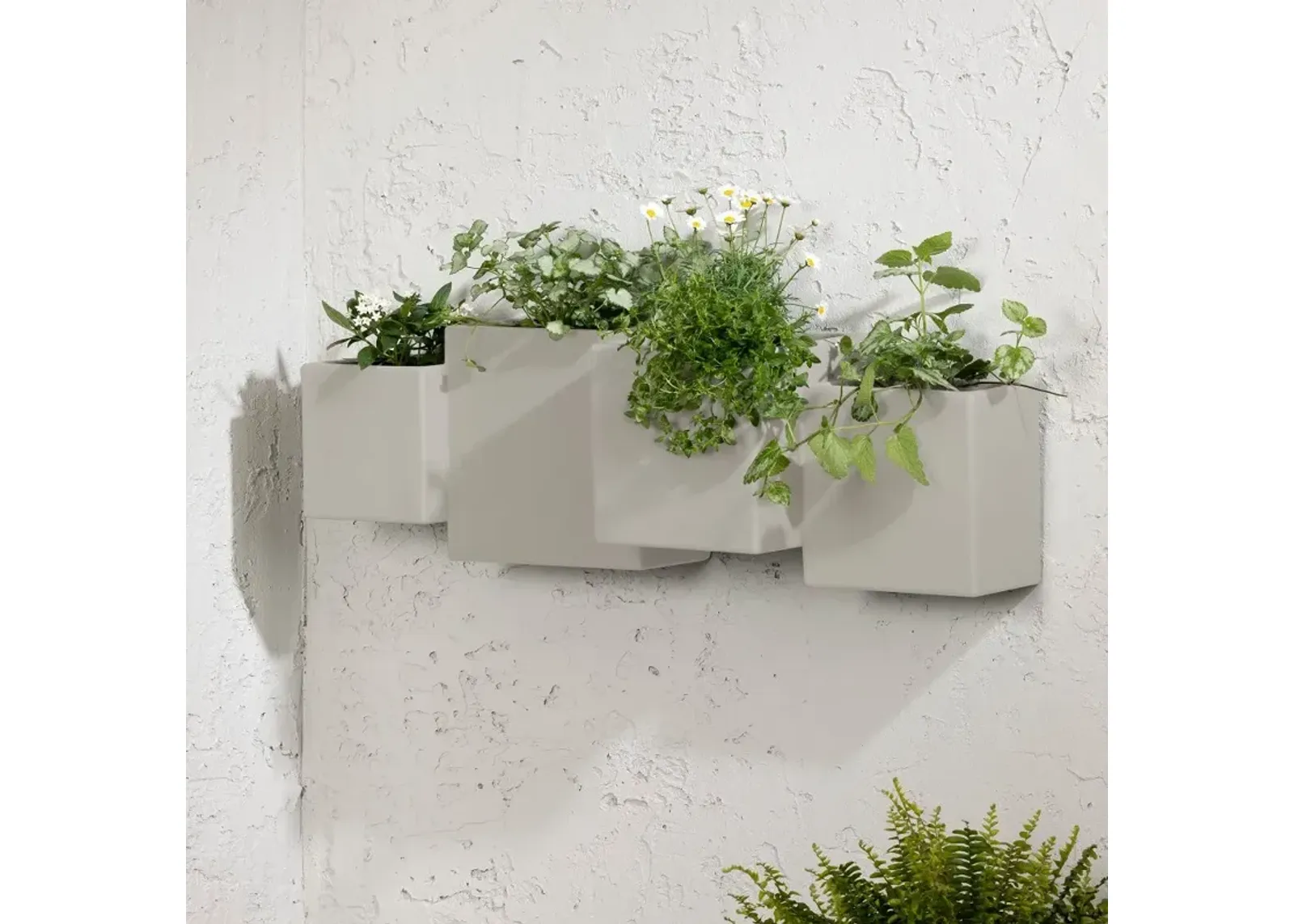 Dalya Greige Wall Planters, Set of 2 - South Shore