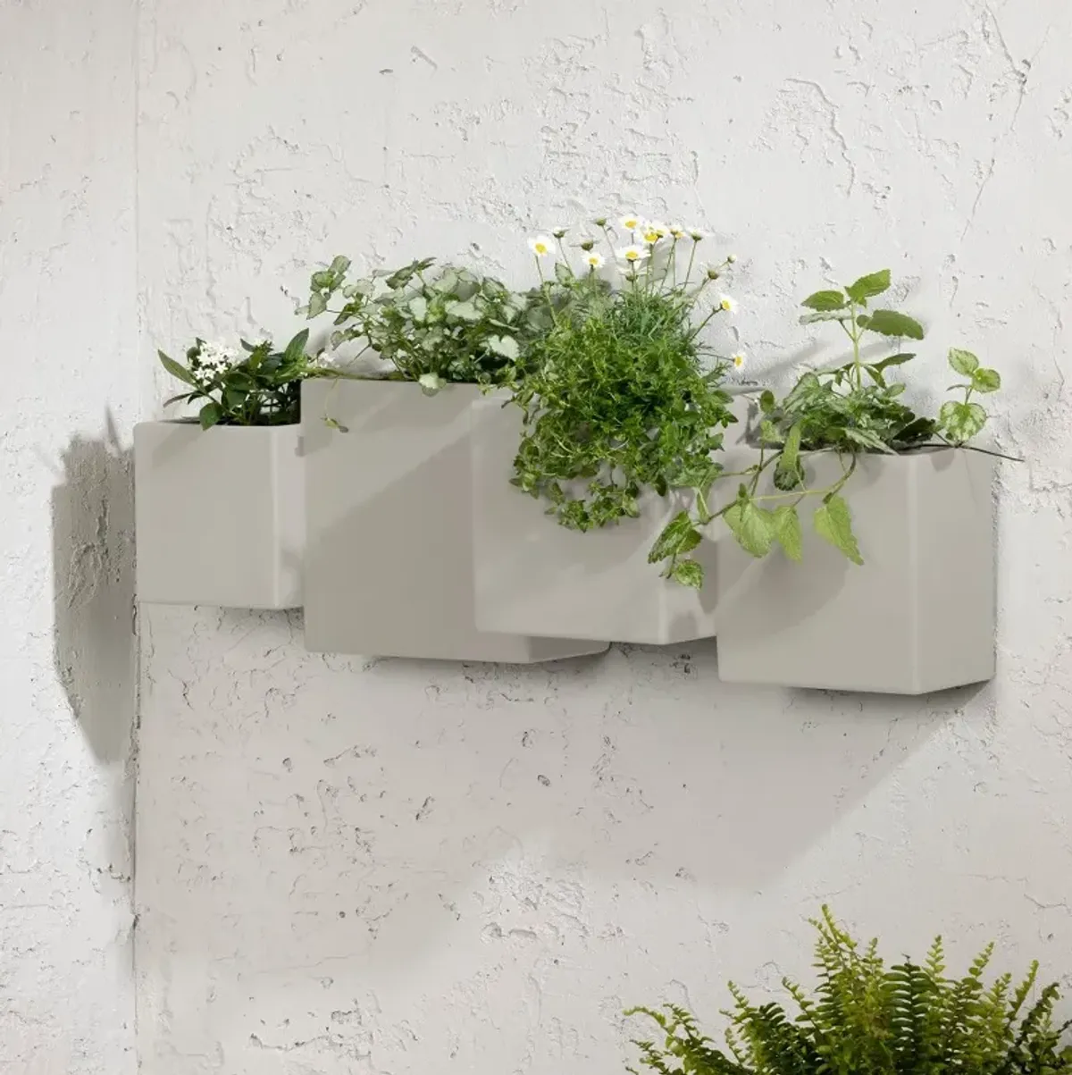 Dalya Greige Wall Planters, Set of 2 - South Shore